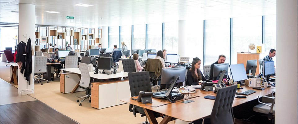 Why Zoople Technologies Is the Best MERN Stack Institute in Kerala